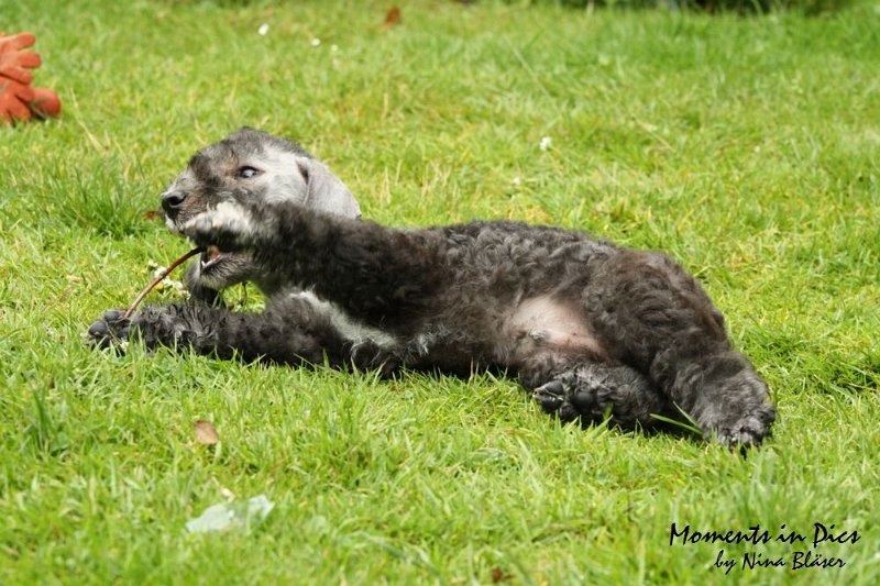 Antares 2009-07-12 (35).JPG